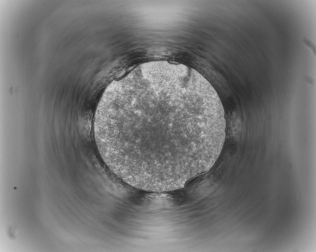 X0000101650427200807311417