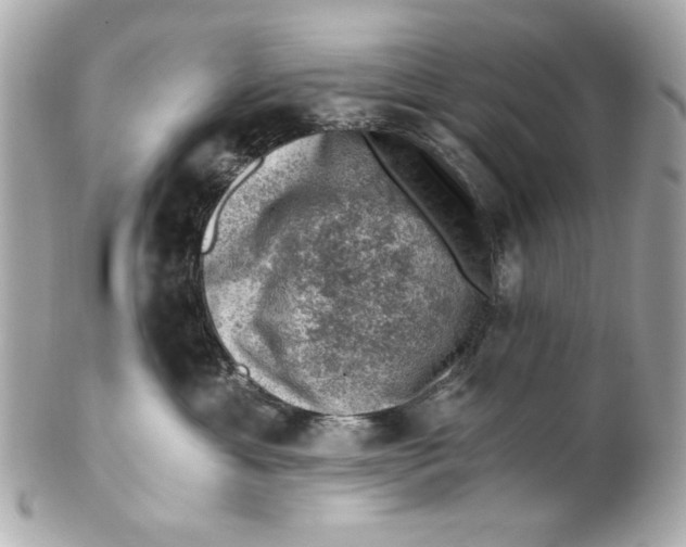 X0000101650429200807311417