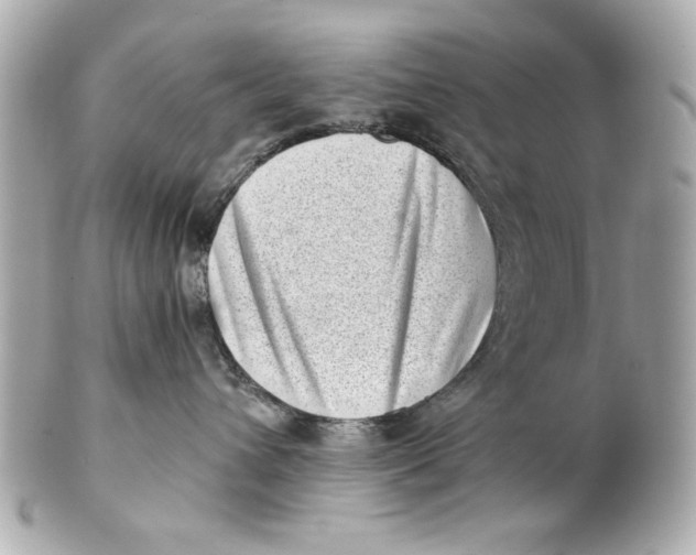 X0000101650432200807311417