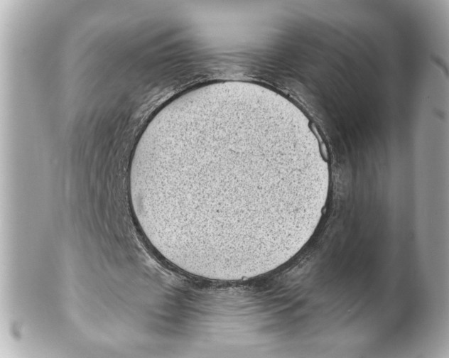 X0000101650433200807311416