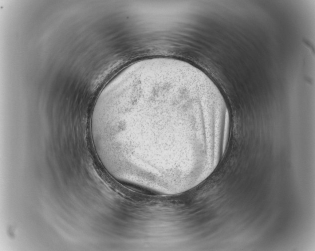 X0000101650434200807311416