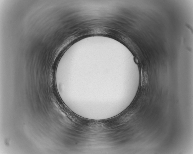 X0000101650435200807311417