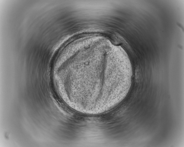 X0000101650436200807311417