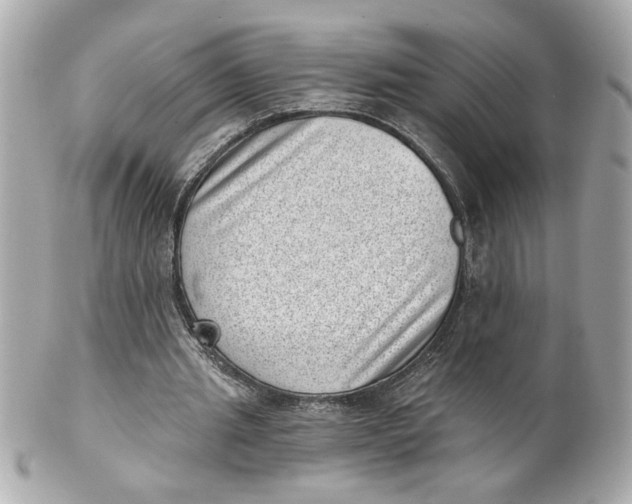X0000101650437200807311417