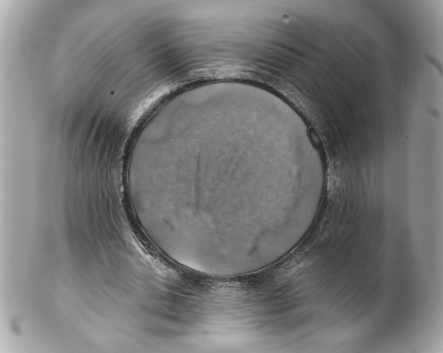 X0000101650438200807311417