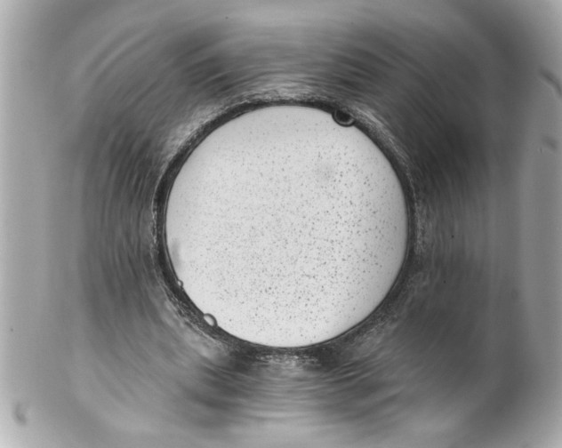 X0000101650439200807311417
