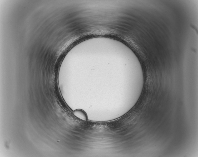 X0000101650440200807311417