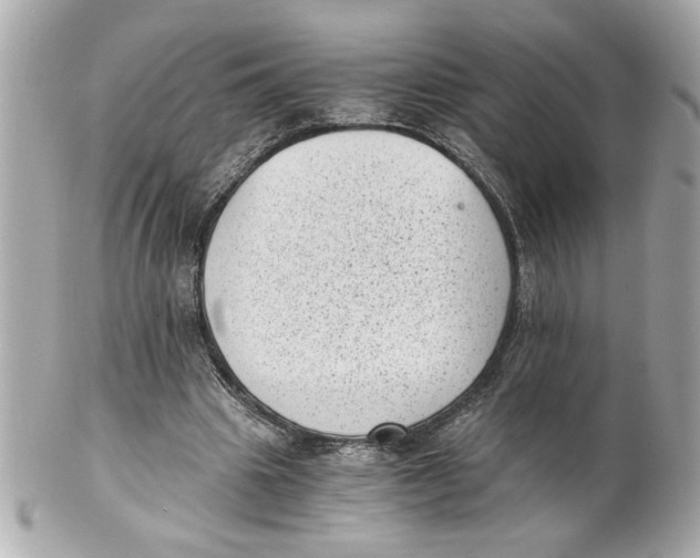 X0000101650441200807311417