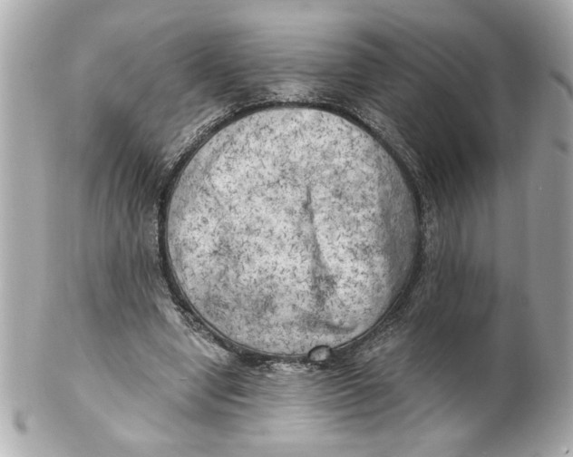 X0000101650442200807311417