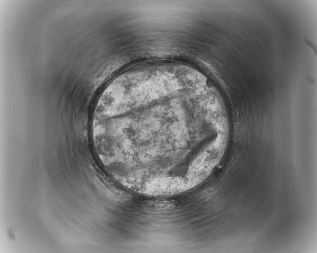 X0000101650443200807311417