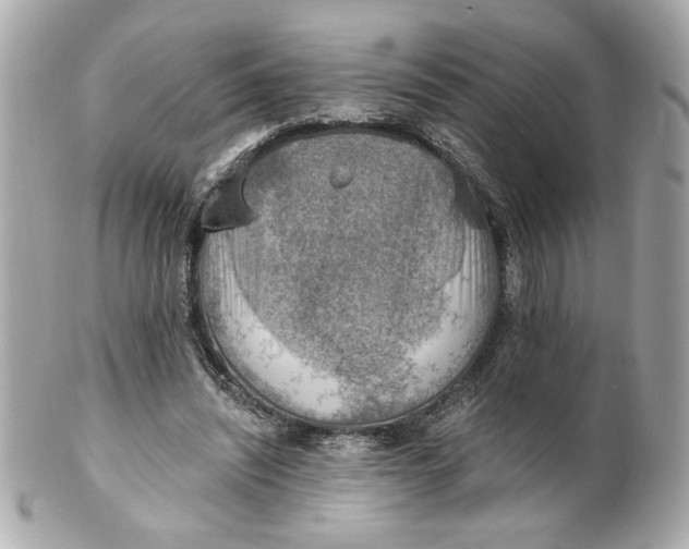 X0000101650444200807311417