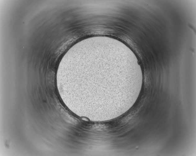 X0000101650445200807311417