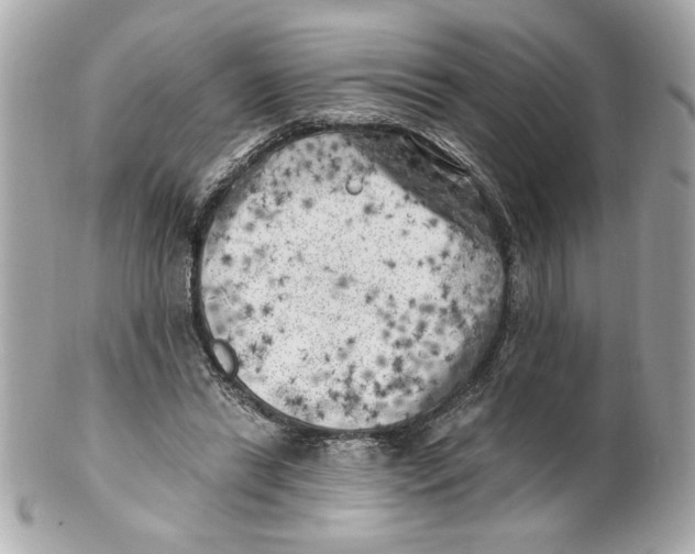 X0000101650446200807311417