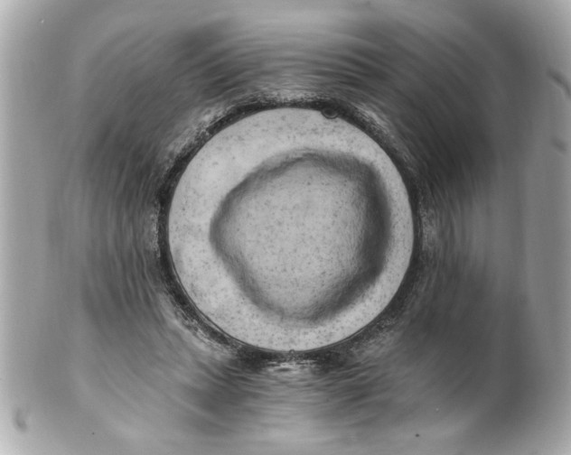 X0000101650447200807311417