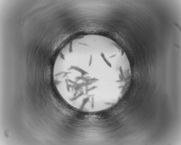 X0000101650448200807311417