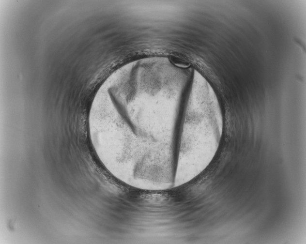 X0000101650449200807311417