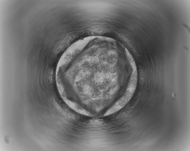 X0000101650451200807311417