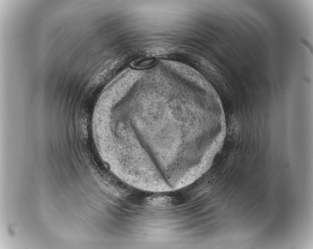 X0000101650452200807311417