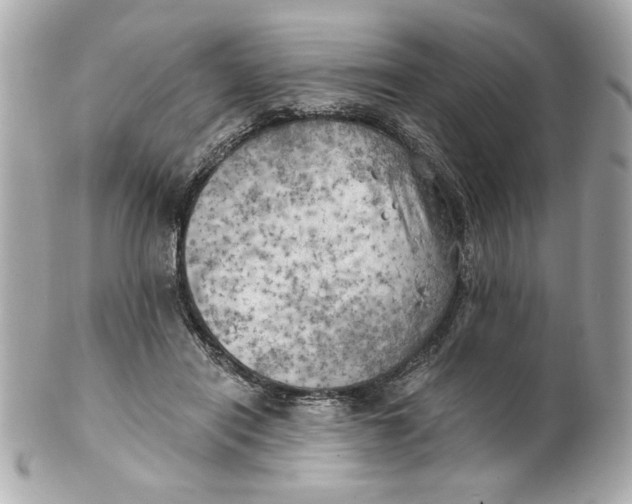 X0000101650454200807311417