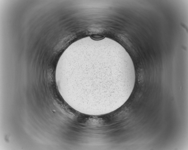 X0000101650455200807311417