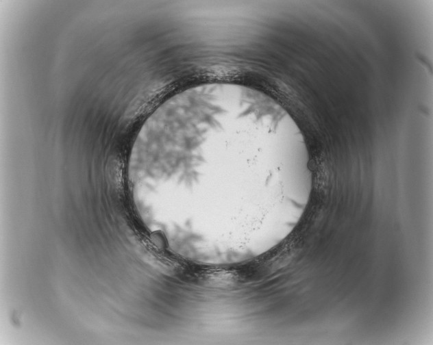 X0000101650456200807311417