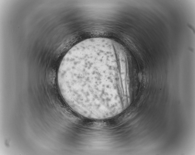 X0000101650458200807311417