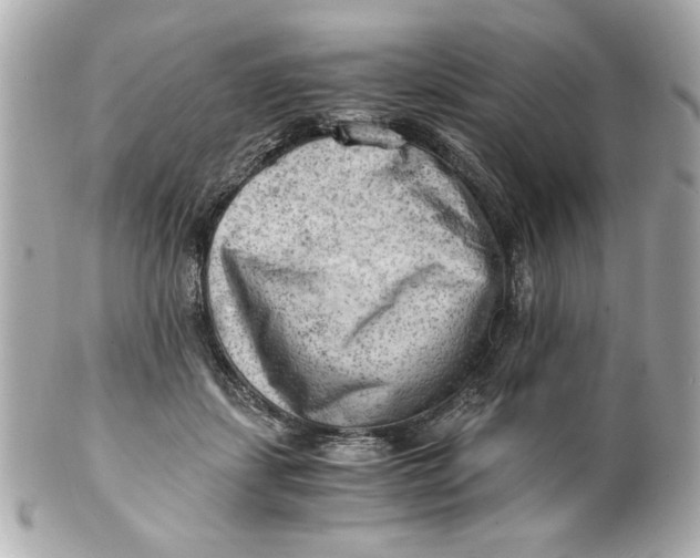 X0000101650459200807311417