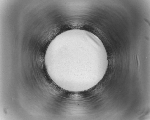 X0000101650460200807311417