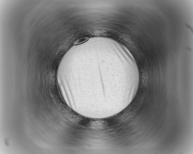 X0000101650461200807311417