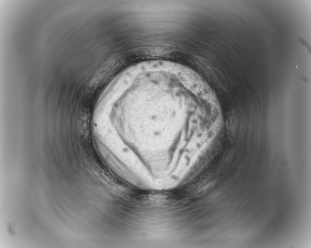 X0000101650462200807311417