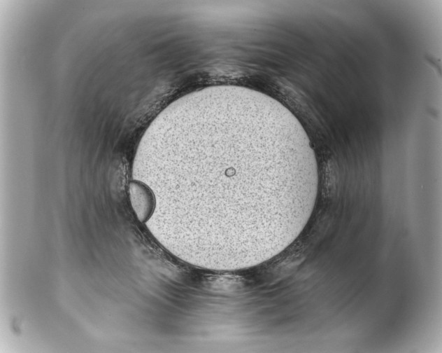 X0000101650463200807311417