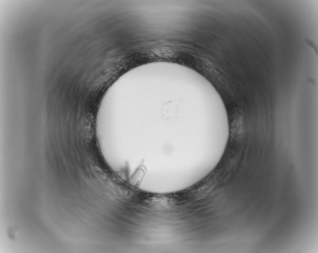 X0000101650464200807311417