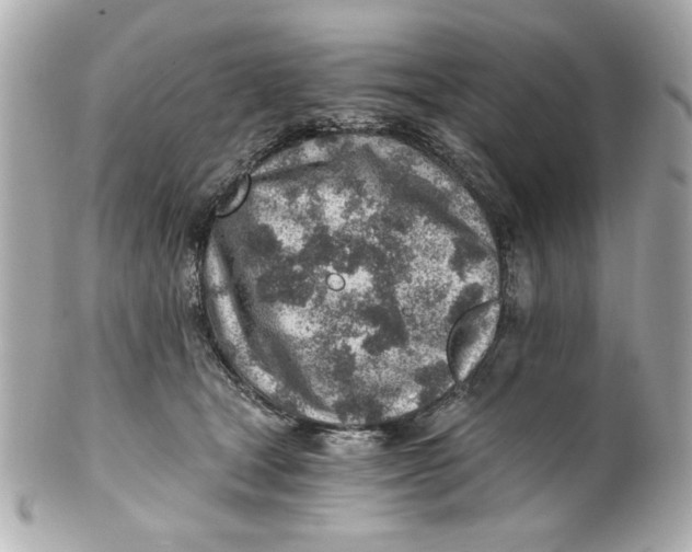 X0000101650465200807311417