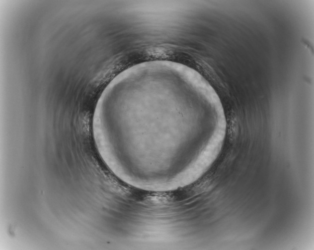 X0000101650466200807311417