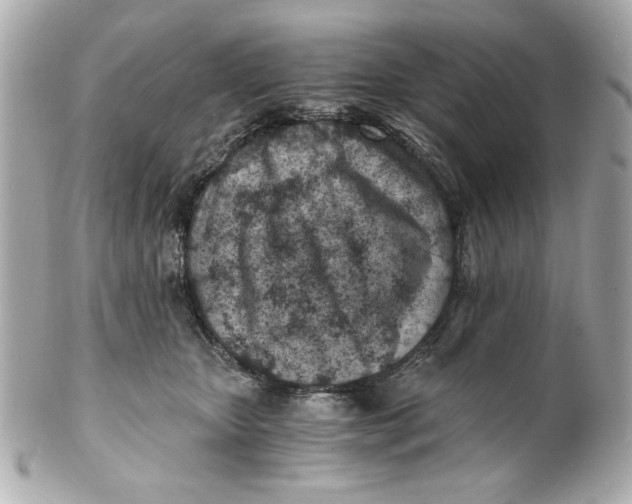 X0000101650467200807311417