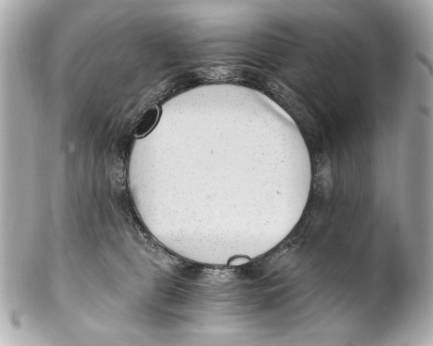 X0000101650469200807311417