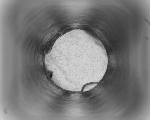 X0000101650470200807311417