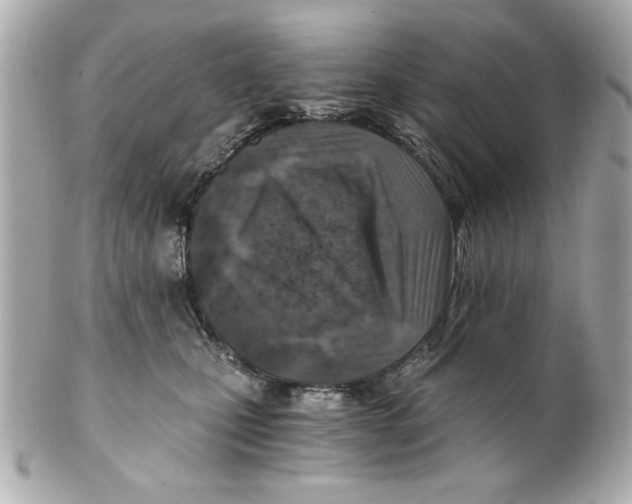 X0000101650471200807311417