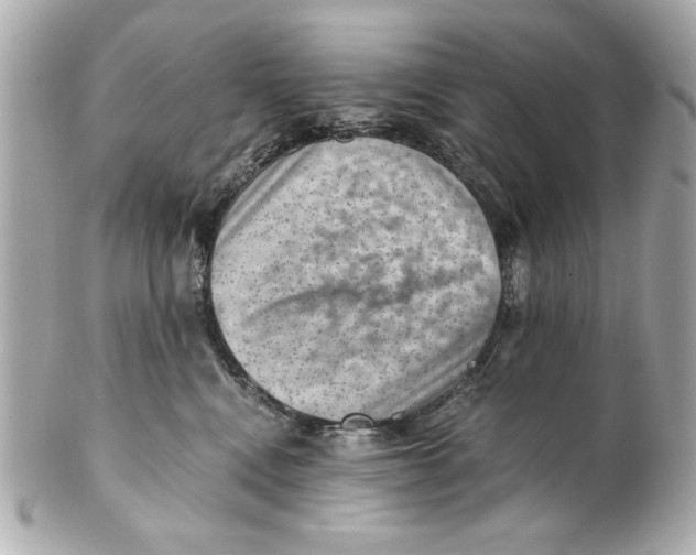 X0000101650472200807311417