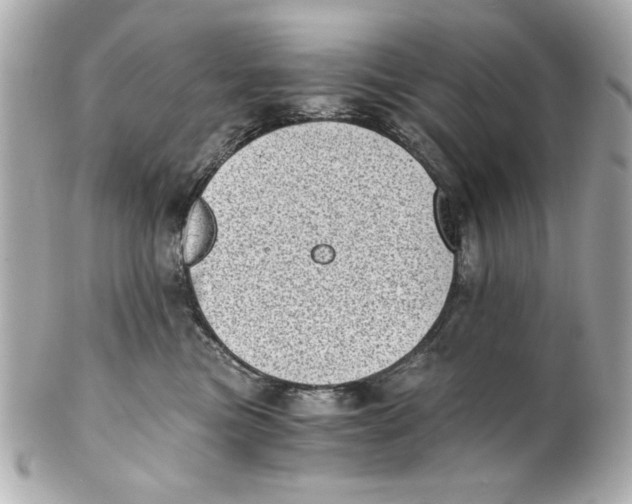 X0000101650473200807311417