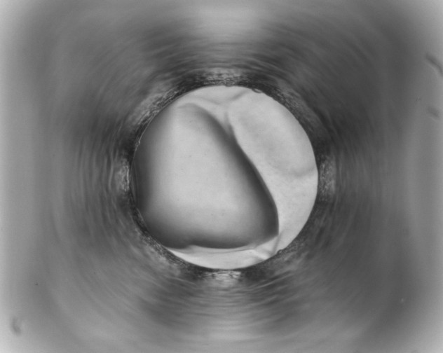 X0000101650474200807311417