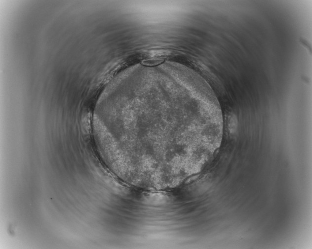 X0000101650475200807311417