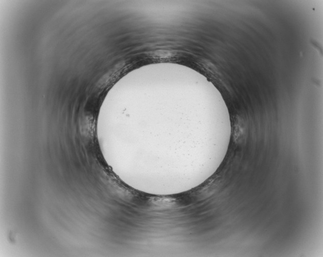 X0000101650476200807311417