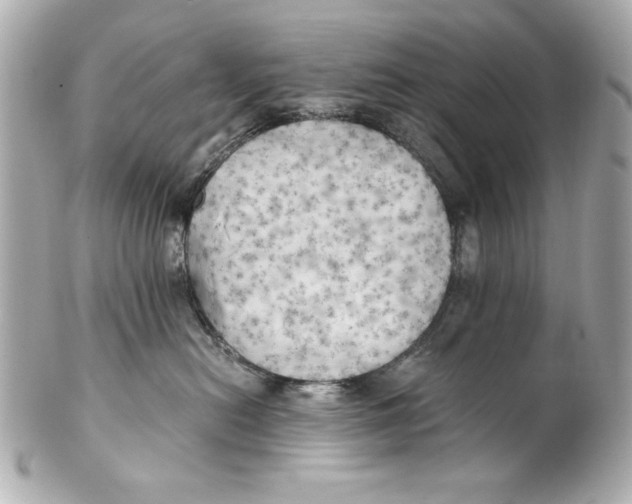 X0000101650478200807311417