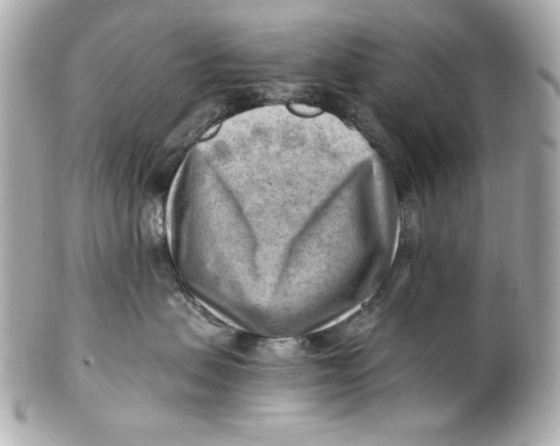 X0000101650479200807311417