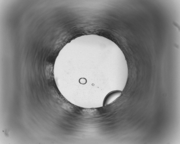 X0000101650480200807311417