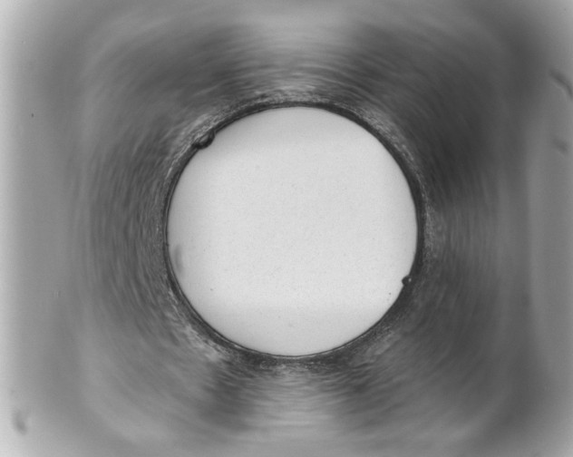X0000101650481200807311416