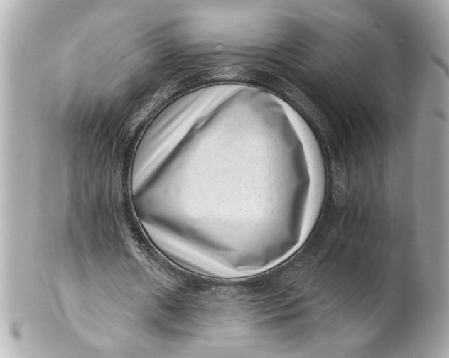 X0000101650482200807311416