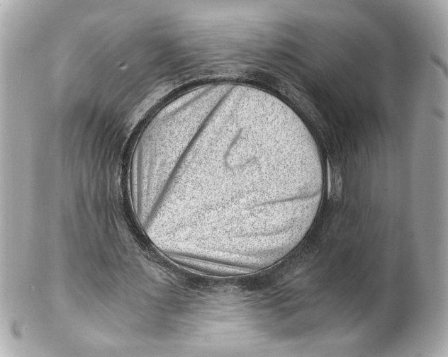X0000101650483200807311416