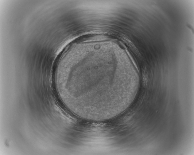 X0000101650484200807311416
